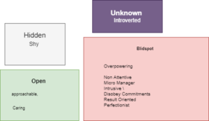 Johari window real 